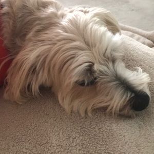 Meet your Posher, Sherri